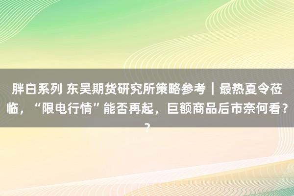 胖白系列 东吴期货研究所策略参考｜最热夏令莅临，“限电行情”能否再起，巨额商品后市奈何看？