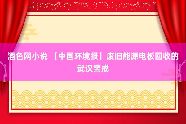 酒色网小说 【中国环境报】废旧能源电板回收的武汉警戒