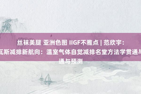 丝袜美腿 亚洲色图 IIGF不雅点 | 范欣宇：煤矿瓦斯减排新航向：温室气体自觉减排名堂方法学贯通与预测