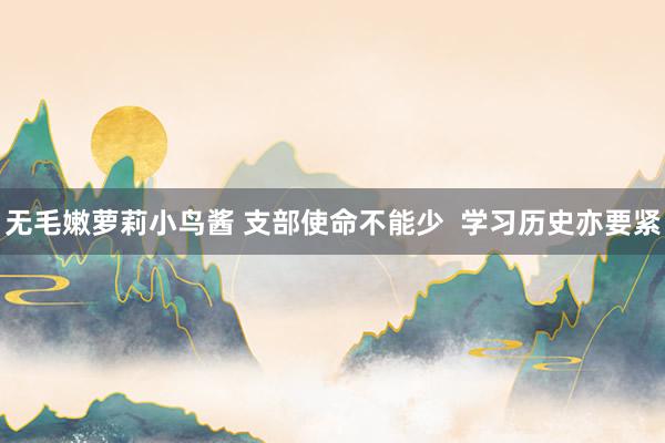 无毛嫩萝莉小鸟酱 支部使命不能少 学习历史亦要紧