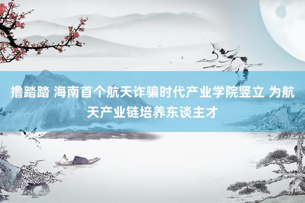 撸踏踏 海南首个航天诈骗时代产业学院竖立 为航天产业链培养东谈主才