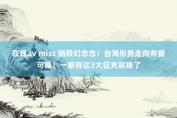 在线av miss 销毁幻念念！台海形势走向有据可循！一朝有这3大征兆就稳了