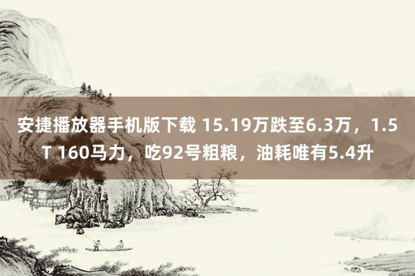 安捷播放器手机版下载 15.19万跌至6.3万，1.5T 160马力，吃92号粗粮，油耗唯有5.4升