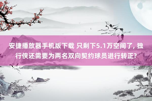 安捷播放器手机版下载 只剩下5.1万空间了， 独行侠还需要为两名双向契约球员进行转正?